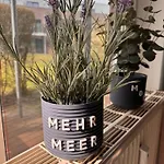 Apartment In *